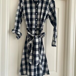 JCrew Navy and White Gingham Shirt Dress